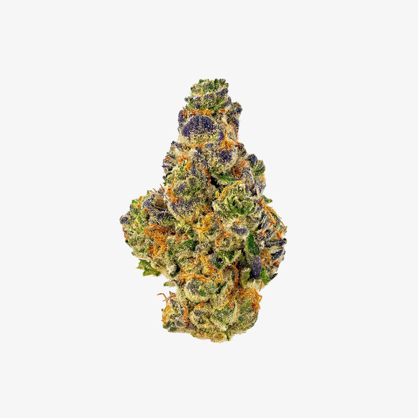 haze exotics platinum reserve thc-a flower gello shotz 3.5 gram flower detail