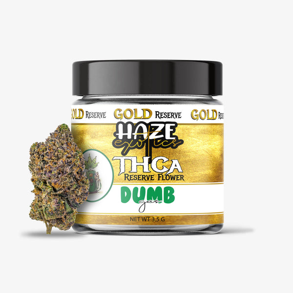 haze exotics gold reserve thc-a flower dumb gas 3.5 gram jar